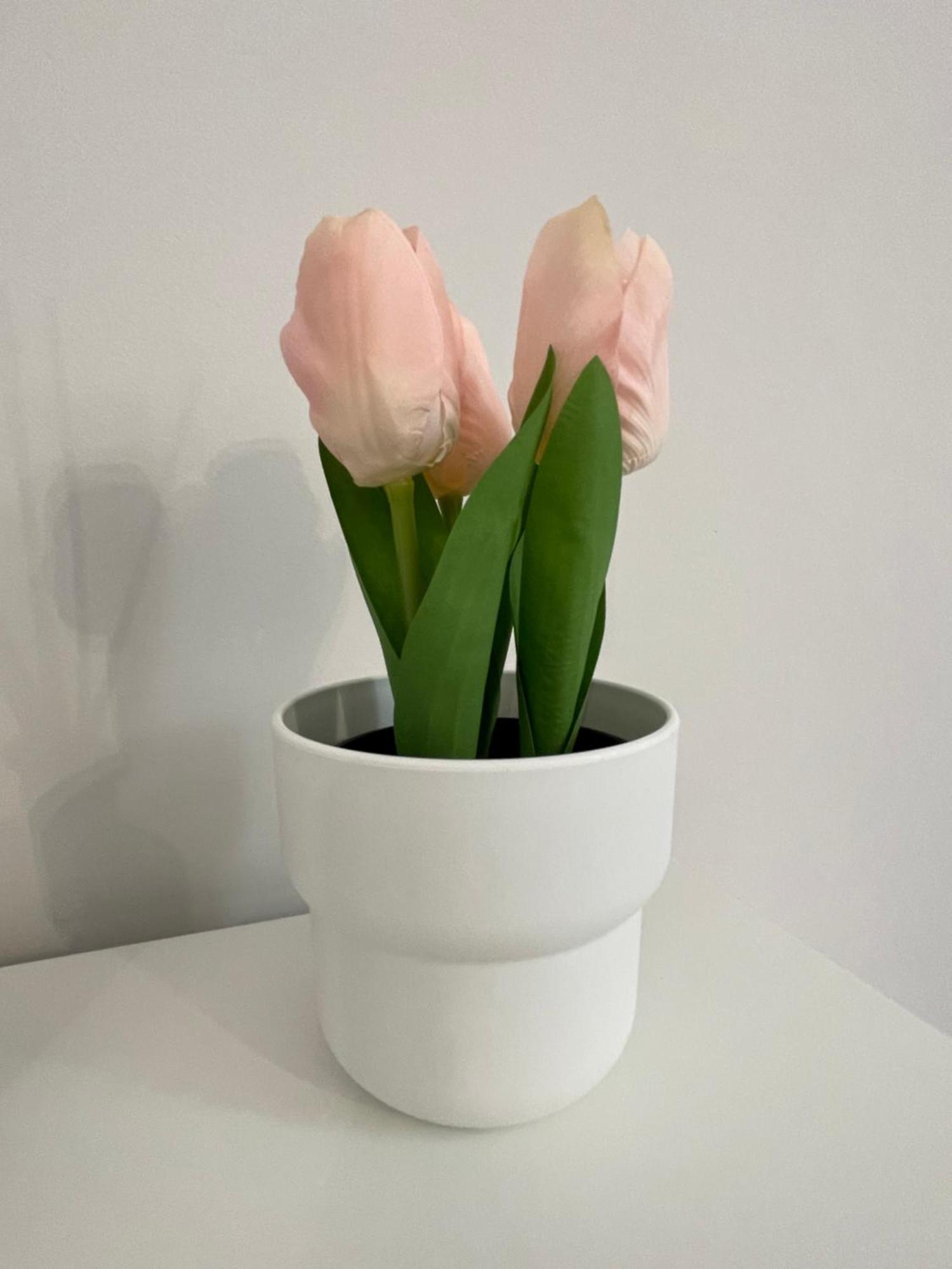 Apartament Il Melograno Sul Naviglio Mediolan Zewnętrze zdjęcie